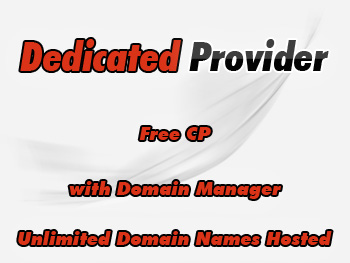 Half-price dedicated hosting servers providers